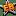 Escort Babylon favicon